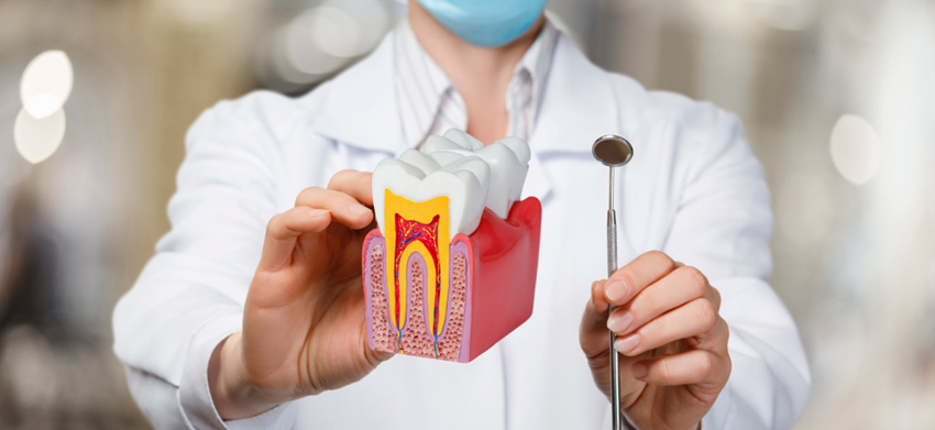 7. 歯周病治療の開始：どこから始めるべきか