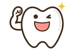 健康な歯のイラスト