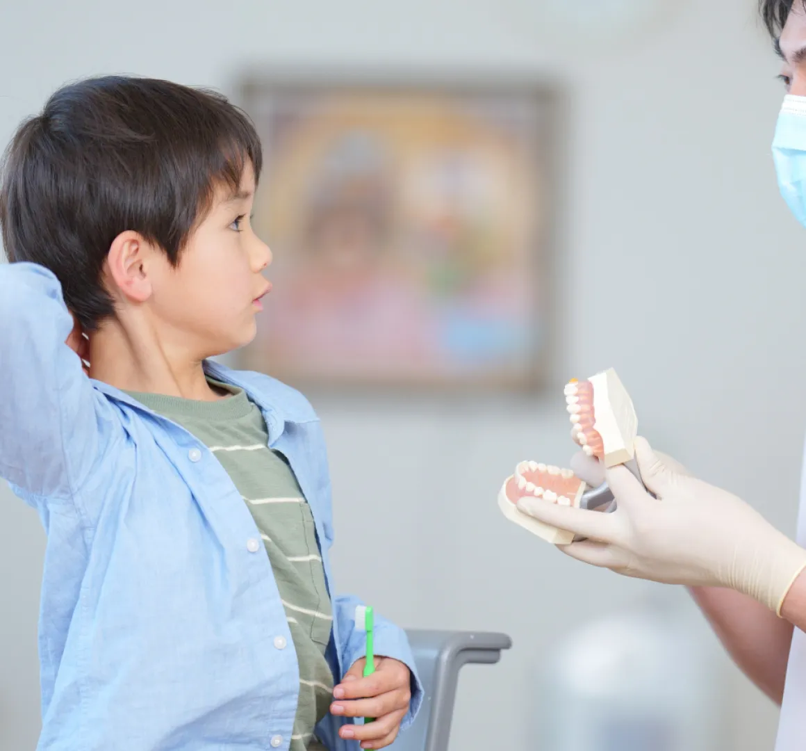 歯の模型を使って子どもに説明するスタッフ